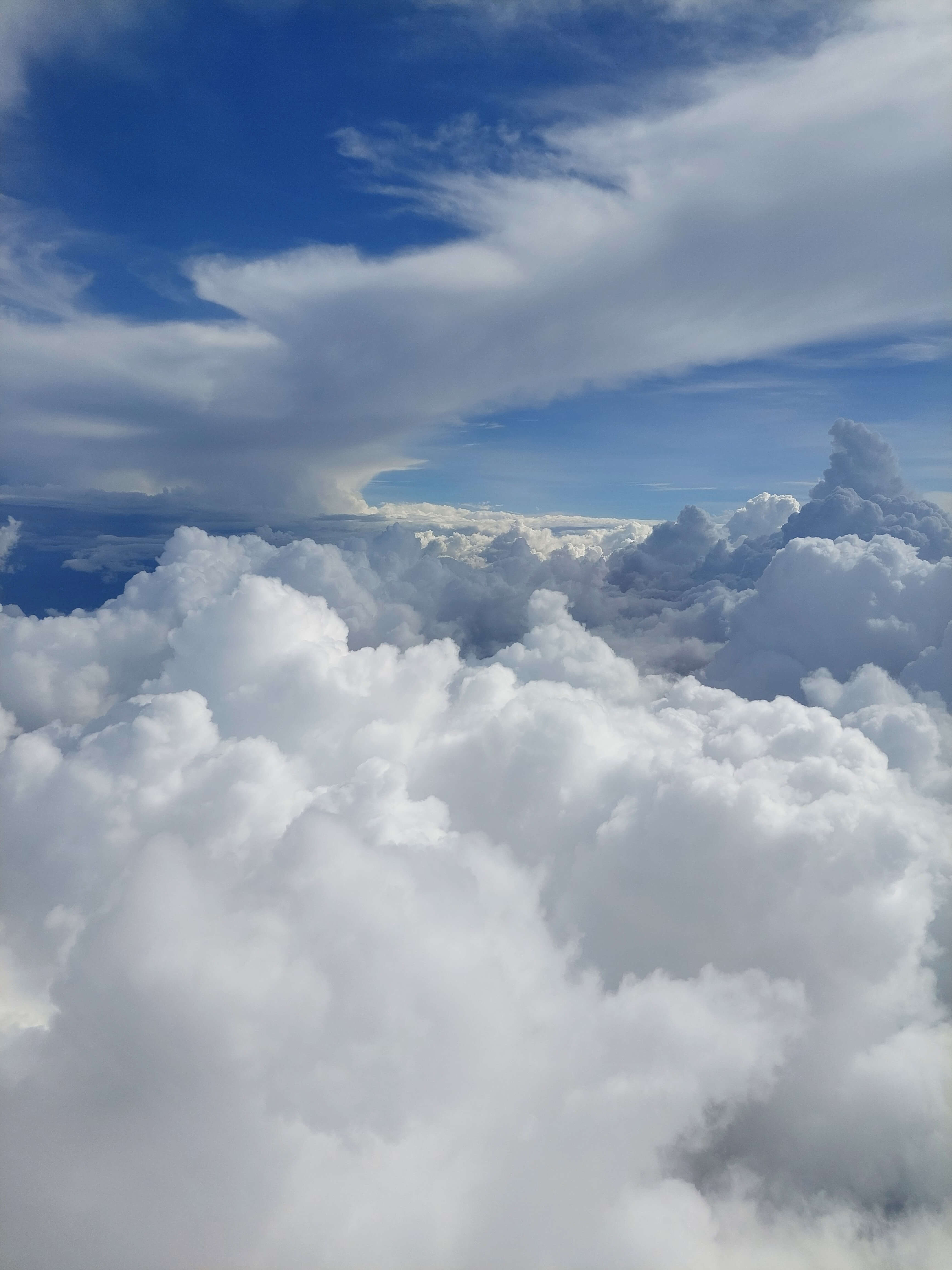 Cebu Pacific Air Manila to Tacloban