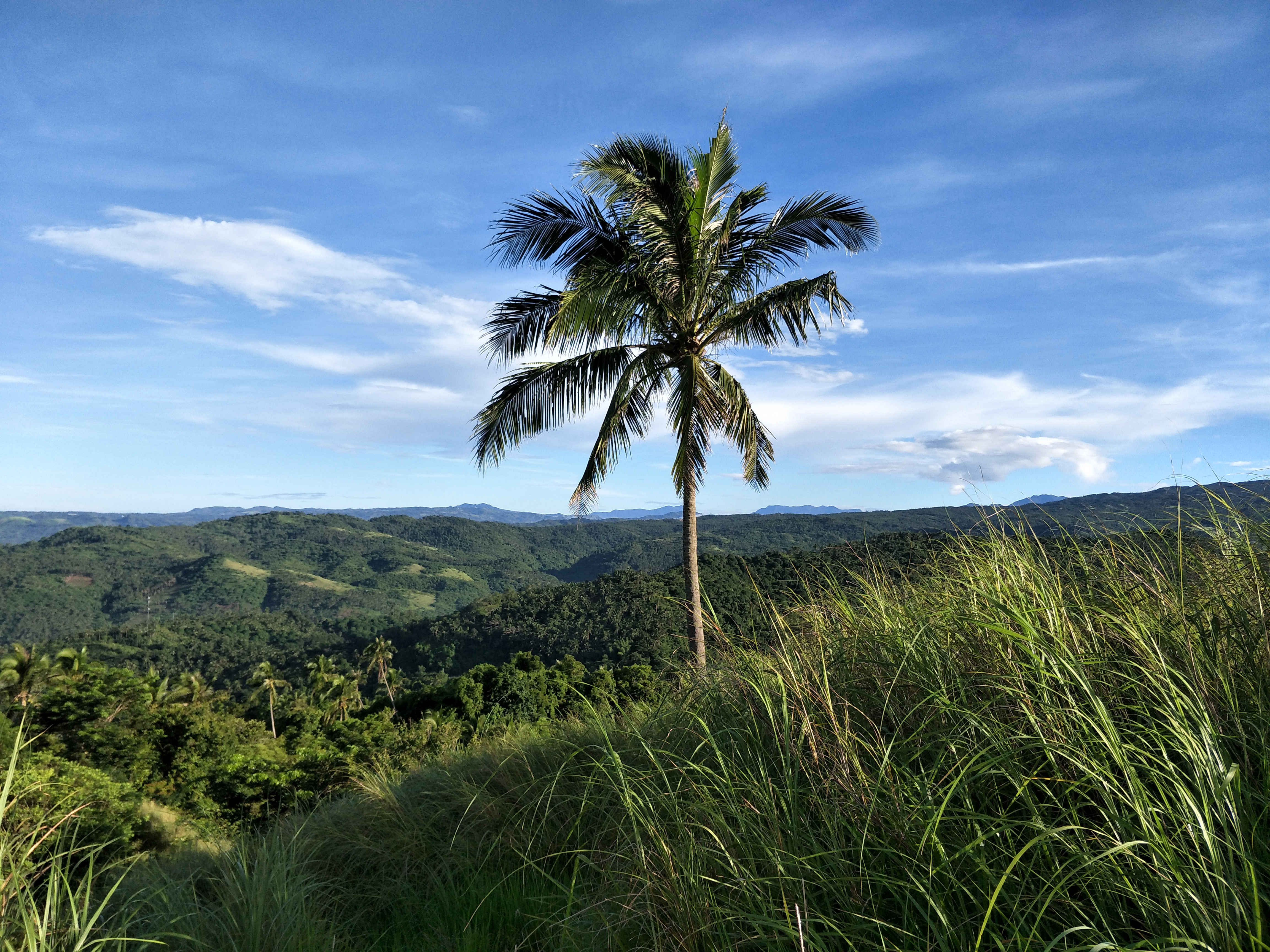 Famy, Laguna Mark Anthony Llego